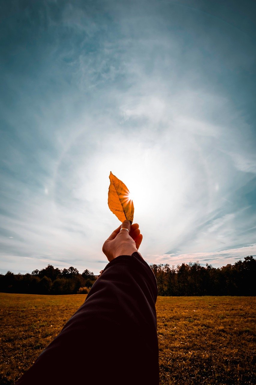 hand, leather, touch, fingers, leaf, nature, autumn, decrease, closeup, foliage, the sun, sky, yellow, coloring, goes away